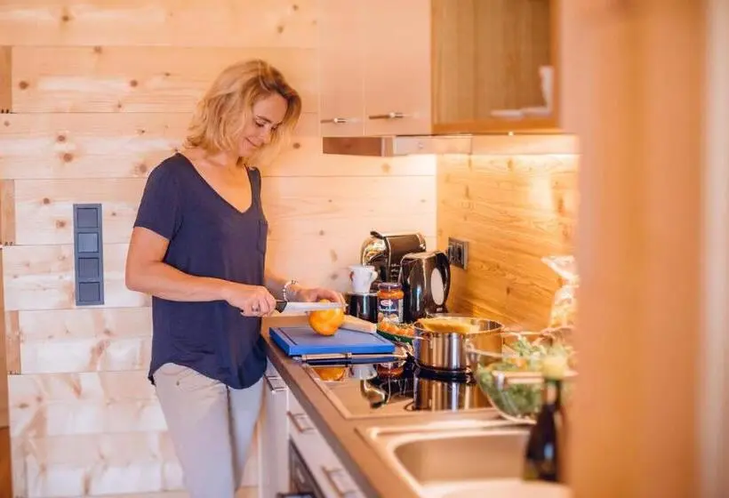 آپارتمان 1 خوابه, Rittis Alpin Chalets Dachstein