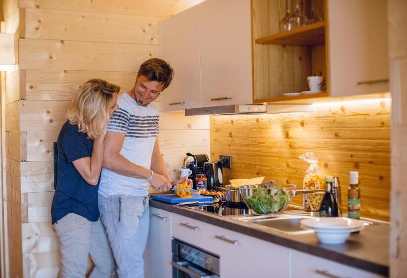 带1个卧室的高级公寓, Rittis Alpin Chalets Dachstein