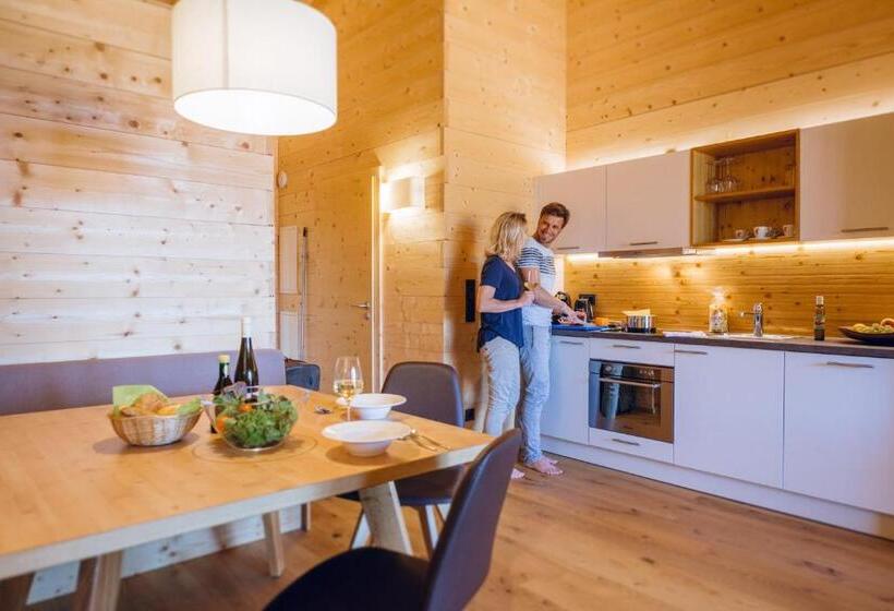 带1个卧室的高级公寓, Rittis Alpin Chalets Dachstein