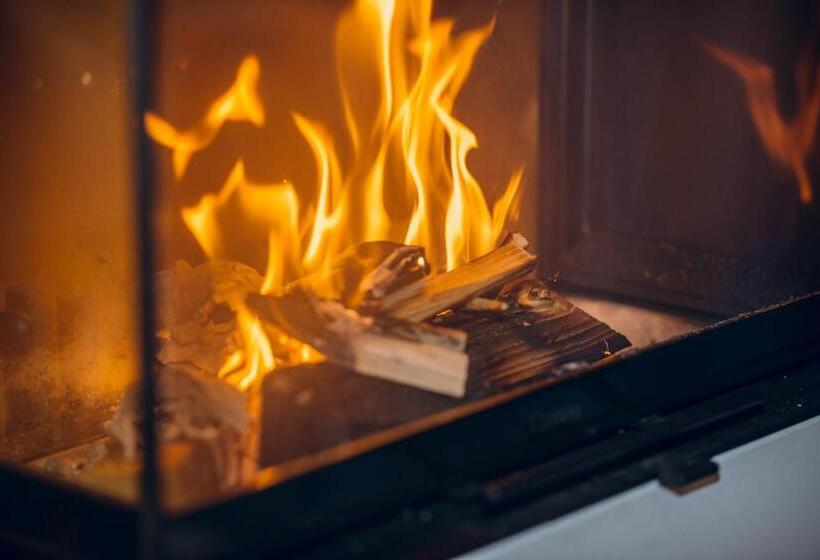 带1个卧室的高级公寓, Rittis Alpin Chalets Dachstein