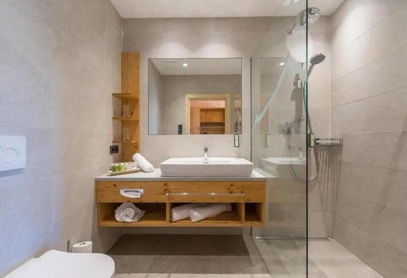 اتاق سوپریور, Rittis Alpin Chalets Dachstein