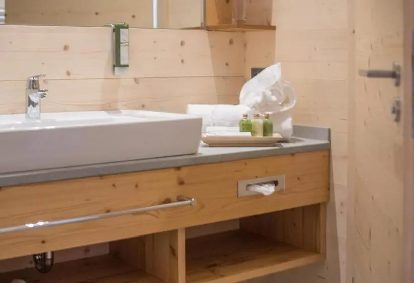 اتاق سوپریور, Rittis Alpin Chalets Dachstein