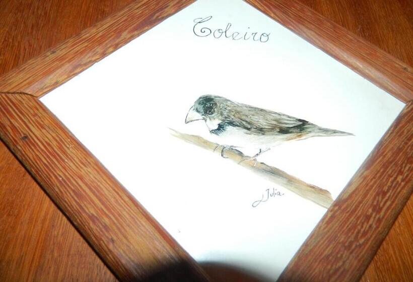 غرفة قياسية رباعية مطلة على الحديقة, Fazenda Hotel Alvorada