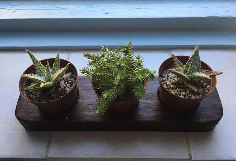 شاليه غرفة نوم واحدة, Arnheim Guesthouse