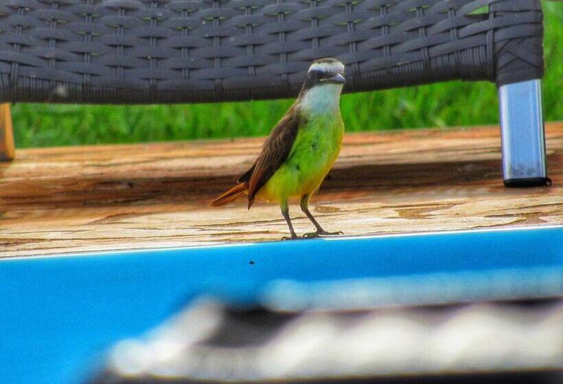 四人标准间, Pousada Mandalla