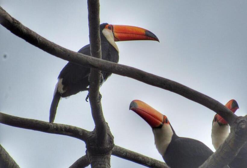 四人标准间, Pousada Mandalla