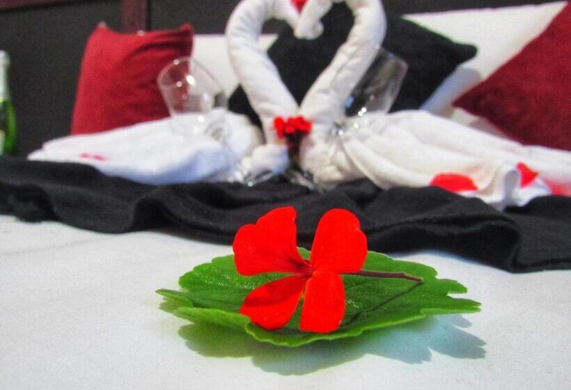 四人标准间, Pousada Mandalla