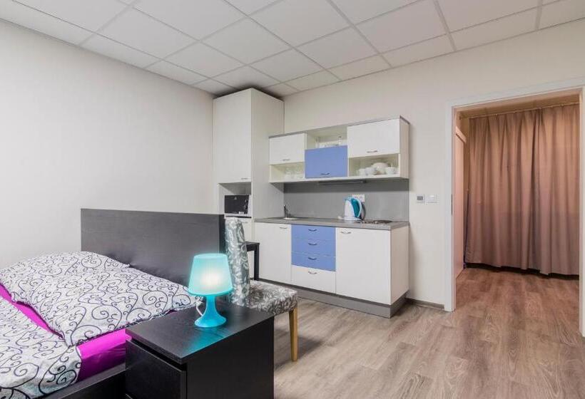 1 Szobás Deluxe Apartman, Aparthotel Dks
