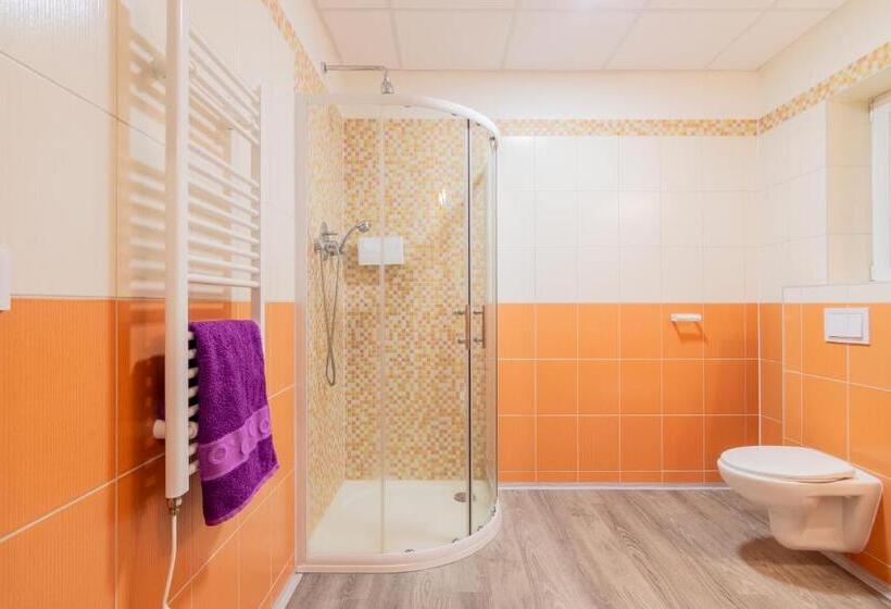 Deluxe Szoba, Aparthotel Dks