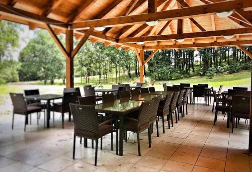 1 Szobás Superior Apartman, Aparthotel Dks