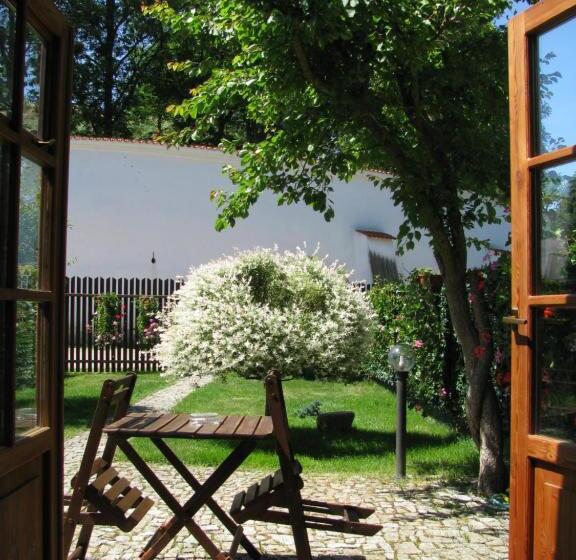 غرفة قياسية, Penzion 102