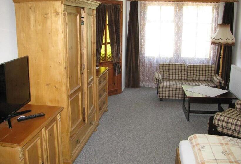 غرفة قياسية, Penzion 102