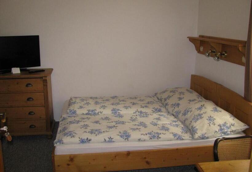 غرفة قياسية, Penzion 102