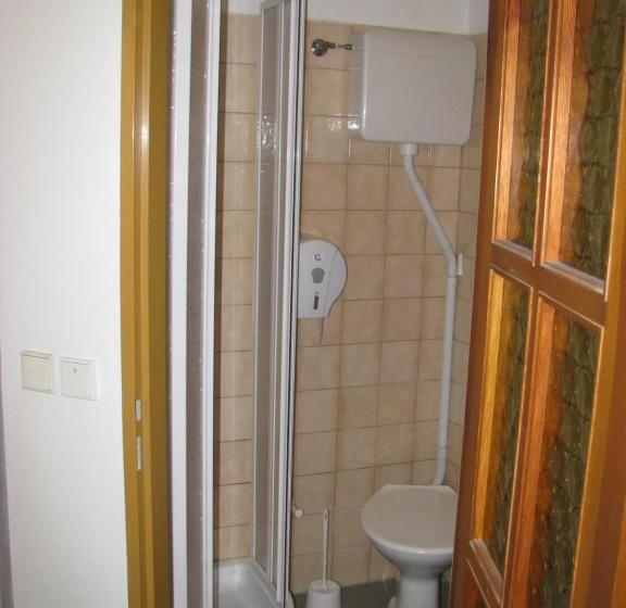 غرفة قياسية, Penzion 102