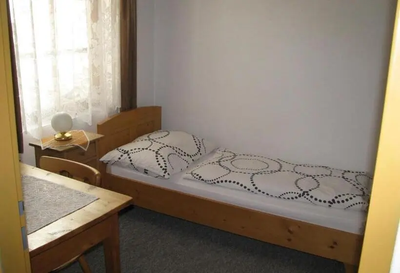 اتاق استاندارد یک نفره, Penzion 102