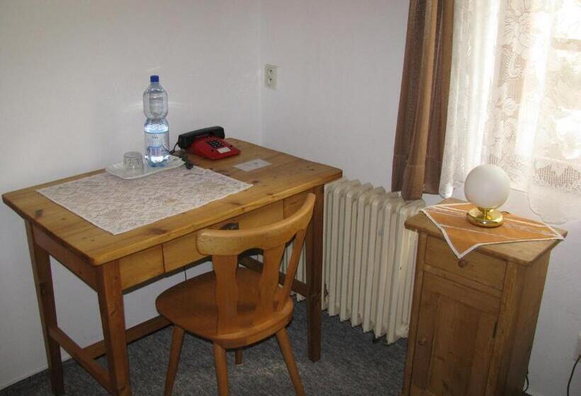 غرفة قياسية فردية, Penzion 102