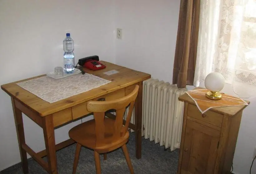 اتاق استاندارد یک نفره, Penzion 102