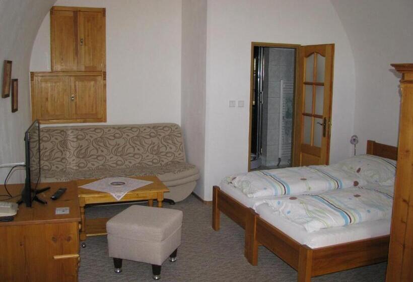 غرفة ديلوكس, Penzion 102