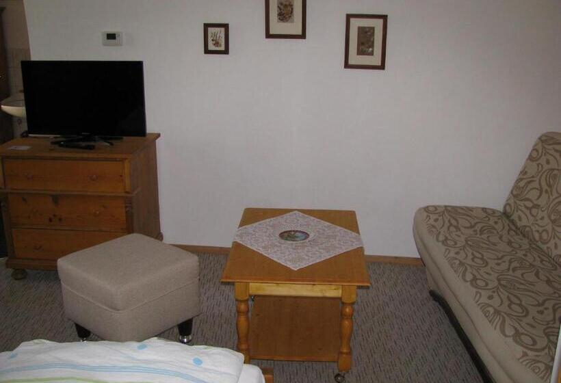 غرفة ديلوكس, Penzion 102