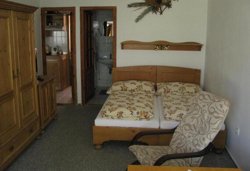 غرفة قياسية, Penzion 102