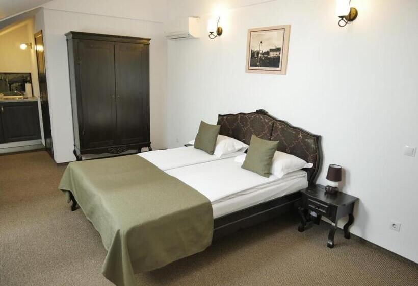 اتاق خانوادگی, Sibiu City Center Apartments