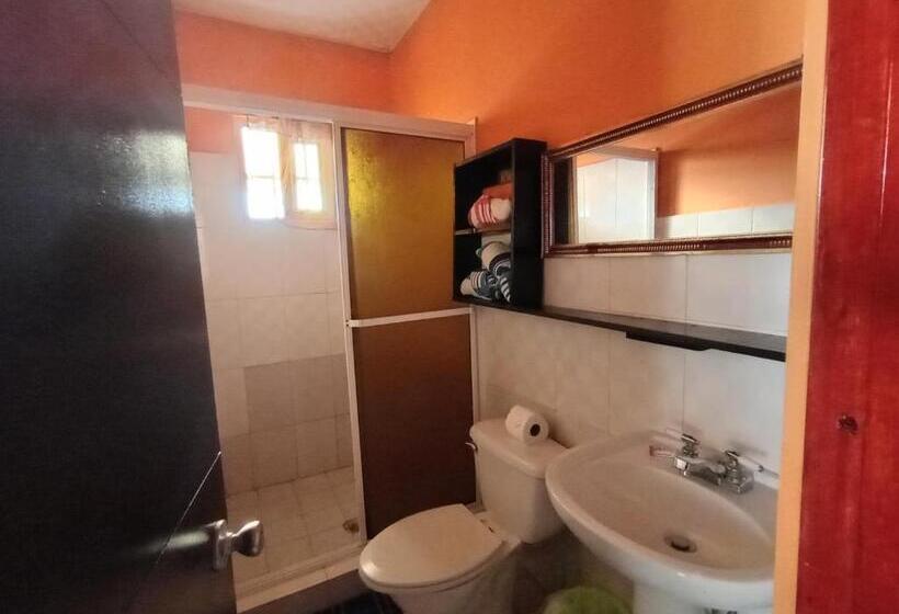 شقة غرفة واحدة, Sun Havens Apartments & Suites