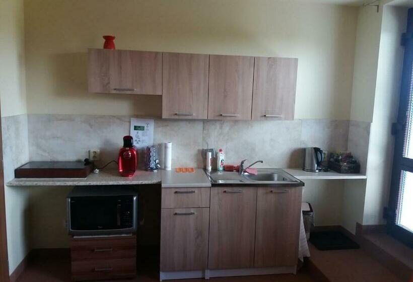 Студия Стандарт, Guest House Sherpa