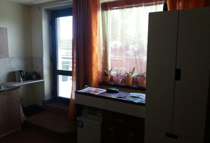 Студия Стандарт, Guest House Sherpa