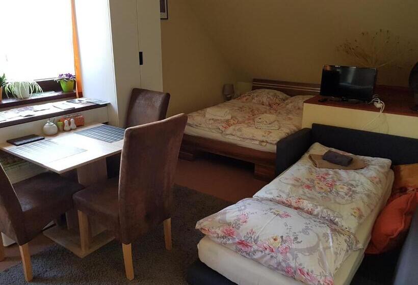 Standard Studio, Guest House Sherpa