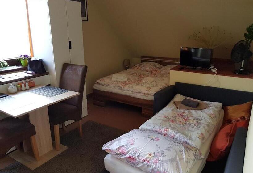 Студия Стандарт, Guest House Sherpa