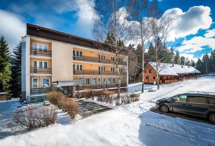 Четырехместный Номер Классик, Penzion Limba