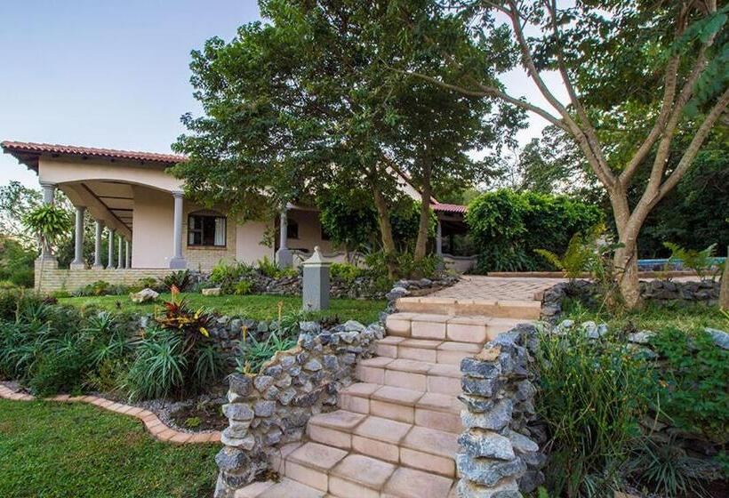 חדר דלוקס, Stephan's Guest House