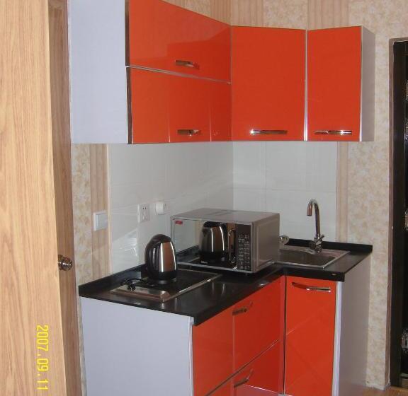 اتاق خانوادگی, Tsolmon's Serviced Apartments