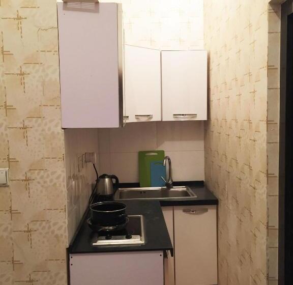 آپارتمان 2 خوابه, Tsolmon's Serviced Apartments