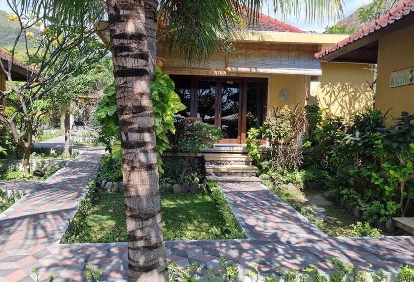 プールの見えるデラックスルーム, Nalini Resort