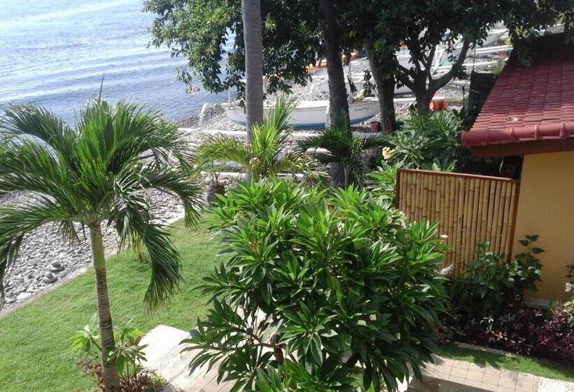 スイート, Nalini Resort