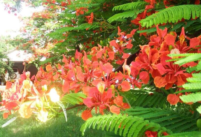 اتاق استاندارد سه نفره, Fred Hunter Villa