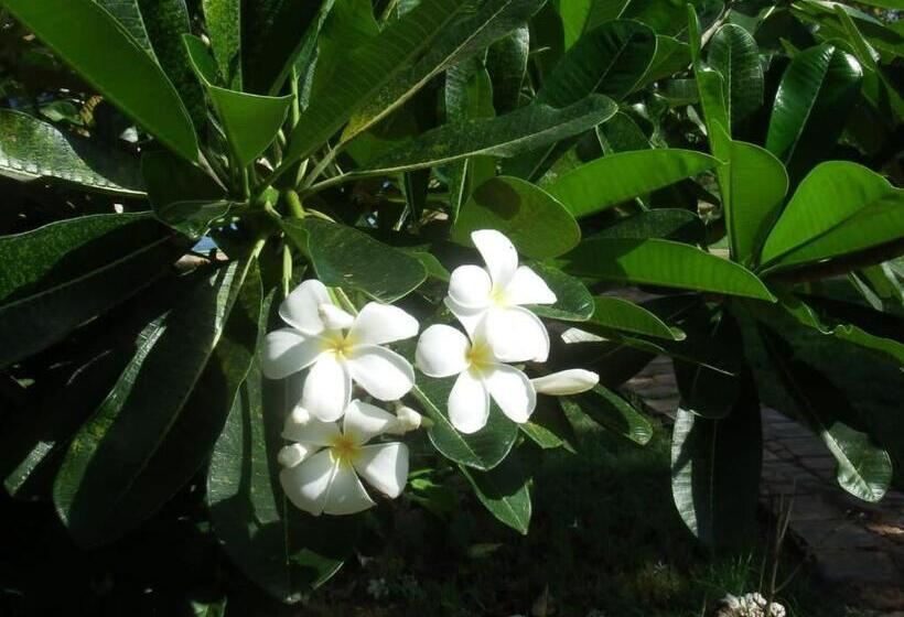 اتاق استاندارد سه نفره, Fred Hunter Villa