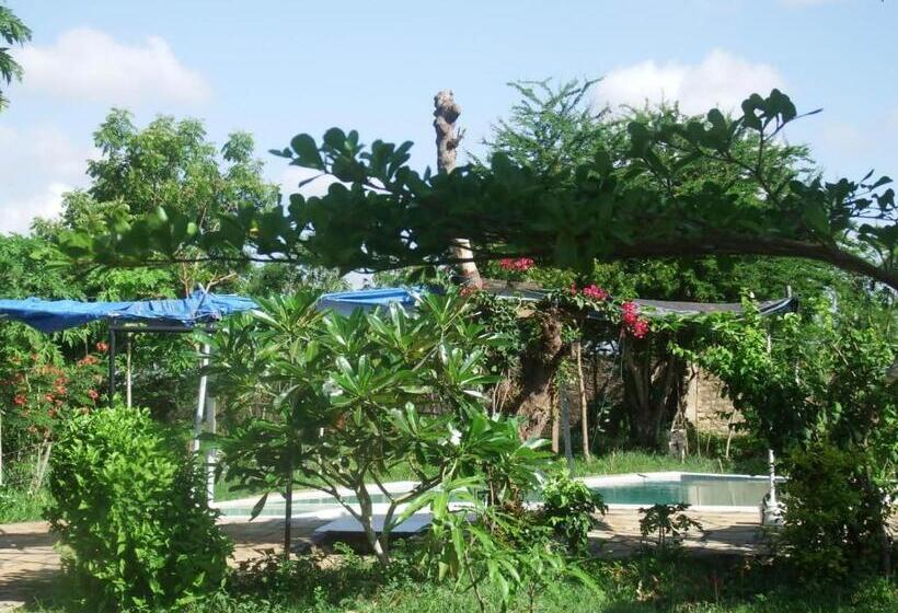 اتاق لوکس, Fred Hunter Villa