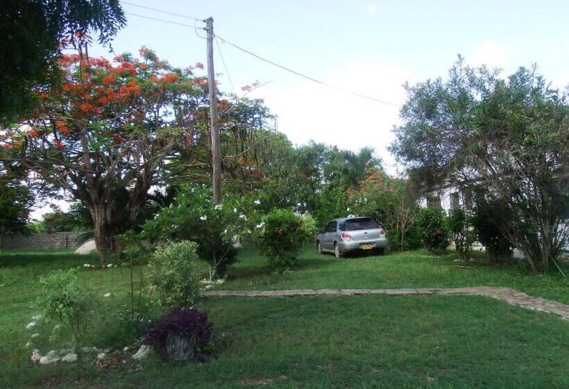 اتاق لوکس, Fred Hunter Villa