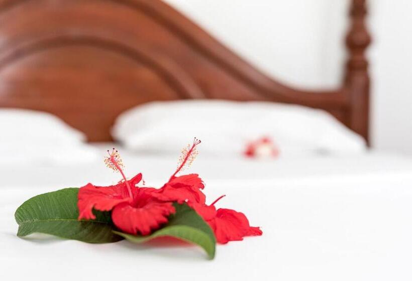 Quarto Estandar, Kite&active Guesthouse