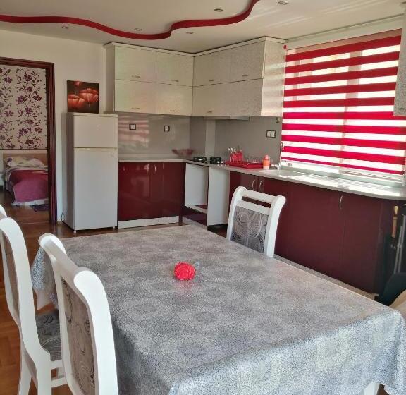 带1个卧室的豪华公寓, Stanchevata Kashta