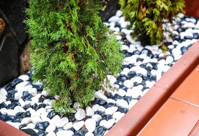 标准间带露台, Stanchevata Kashta