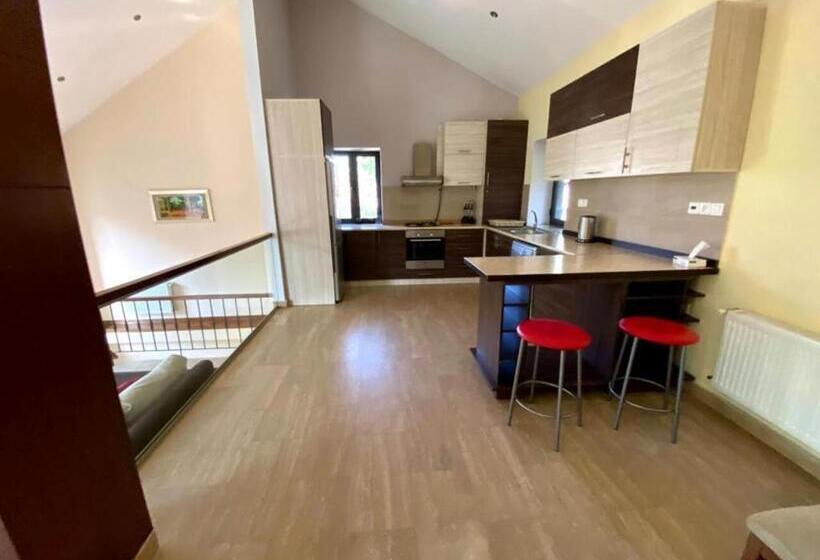 ویلای سوپریور 1 خوابه, Villadzor Apart