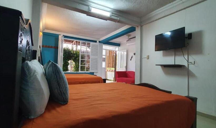 정원 전망 4인용 스탠다드 룸, Casa Royal Palm Inn