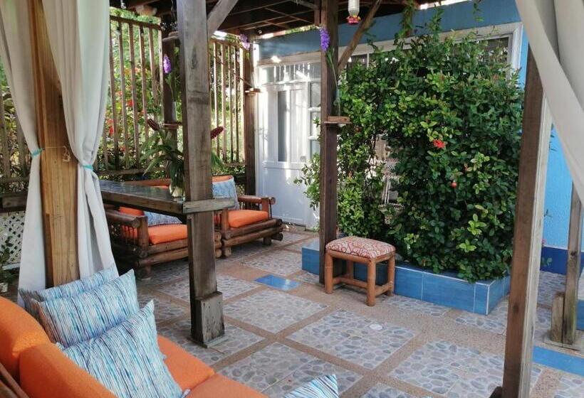 정원 전망 4인용 스탠다드 룸, Casa Royal Palm Inn