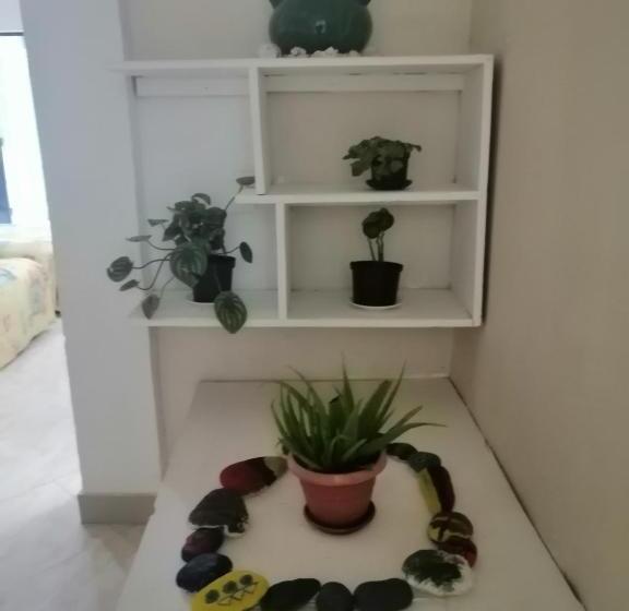 침실 2개 아파트, Casa Royal Palm Inn