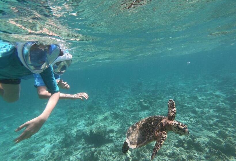 اتاق لوکس با بالکن, Dhiffushi White Sand Beach