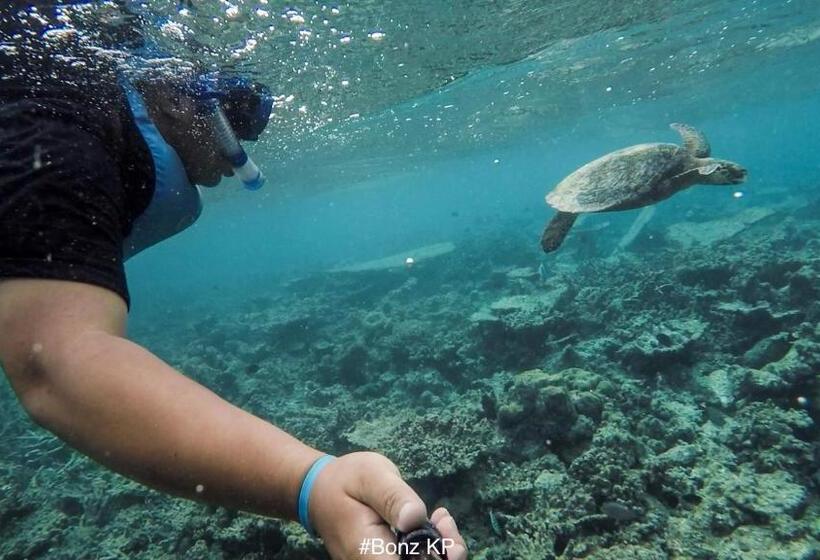 اتاق لوکس با بالکن, Dhiffushi White Sand Beach