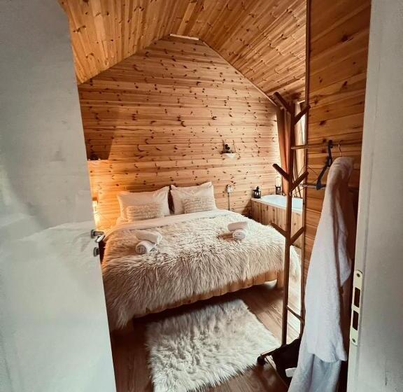 小型豪华套房, Guesthouse Marashi